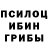Псилоцибиновые грибы GOLDEN TEACHER Chohonia l.