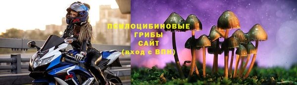гашик Сосновка