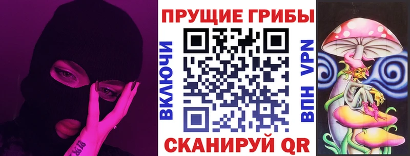 Псилоцибиновые грибы MAGIC MUSHROOMS  где купить наркоту  Топки 